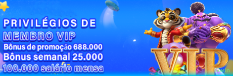 Programa VIP exclusivo da 6owin